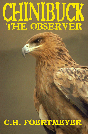 Chinibuck the Observer